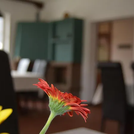 מלון Garni B R O C K E N H E X E אלבינגרודה