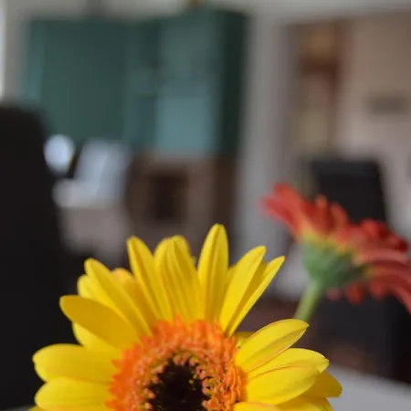 Hotel Garni B R O C K E N H E X E