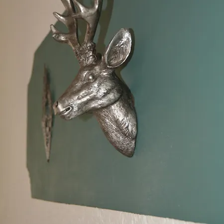 Garni B R O C K E N H E X E אלבינגרודה