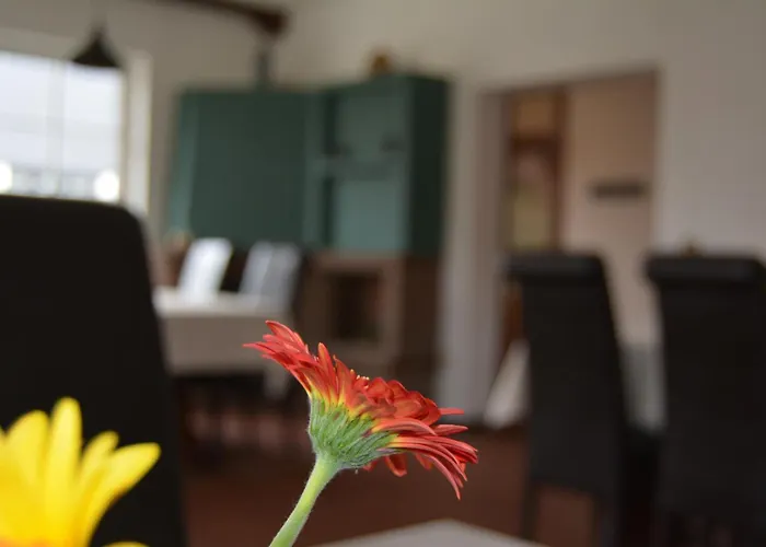 Hotell Garni B R O C K E N H E X E Elbingerode (Saxony-Anhalt)