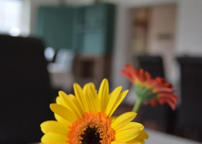 Hotell Garni B R O C K E N H E X E